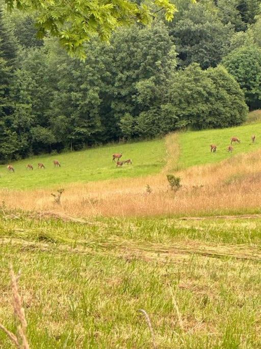 Willa Panorama Sucha Gora Skawica  Zewnętrze zdjęcie